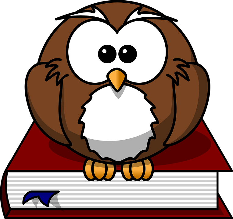 owl-47526_960_720